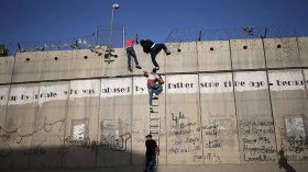 شباب فلسطينيون يقاومون الاحتلال بـ”الأفاعي”