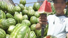فاكهة الفقراء تقاطع الجزائريين في رمضان