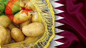 Qatar Imports 330 Tons Of Potatoes In A month, Algerian Exporters Say