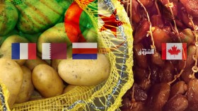 كندا ترفض تمور الجزائر.. روسيا وقطر تعيدان البطاطا وفرنسا تحرقها!