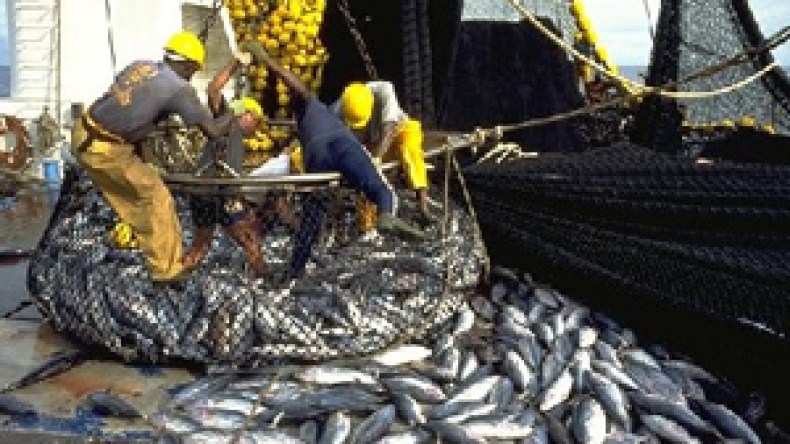 الجزائر‭ ‬ستنتج‭ ‬55‭ ‬ألف‭ ‬طن‭ ‬من‭ ‬المائيات‭ ‬البحرية‭ ‬سنة‭ ‬2025