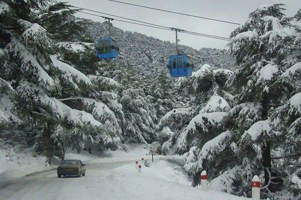 Télécabine de Blida: Arrêt du 25 mai au 15 juin