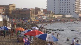 قناديل بحر قاتلة في الشواطئ الجزائرية