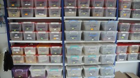 مصالح الأمن تحذر من عقاقير قاتلة تسوق في محلات الطب البديل