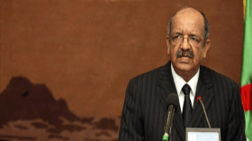 مساهل يقترح إنشاء شركة طيران شبه اقليمية موجهة لإفريقيا