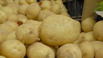 “مصارن الحلوف” حلال!