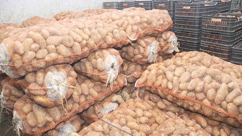 حققنا الاكتفاء بنسبة 70 بالمئة والجنوب تحول من مستهلك إلى منتج