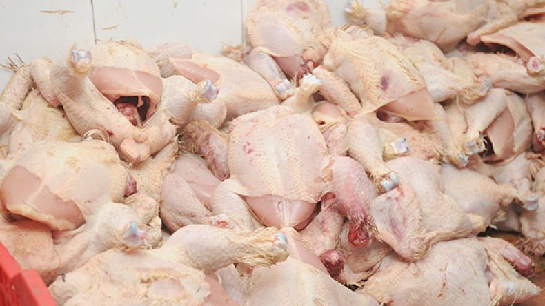 إتلاف نصف طن من لحوم الدواجن الفاسدة بالبليدة