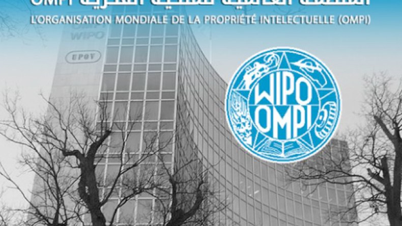 أول مكتب إفريقي للمنظمة العالمية للملكية الفكرية قريبا بالجزائر