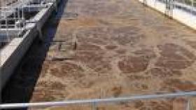 Les dangers des rejets industriels sur les ressources hydriques en débat