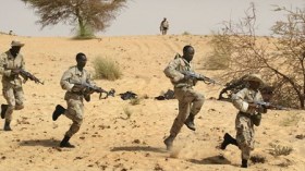 Mali Government Condemns Islamist Executions in North