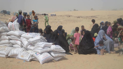 Algerian Red Crescent launches a Humanitarian Aid Convoy  to Kidal