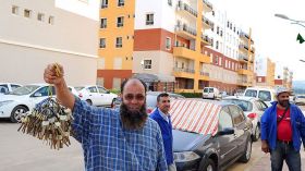 هل يُعقل شراء الأغنياء والفقراء السكر والزيت والحليب بنفس السعر؟