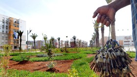 ولاة يغلطون الرئيس بشأن السكن الجاهز