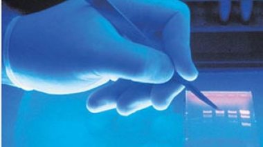 Algeria delivers on research funding promise