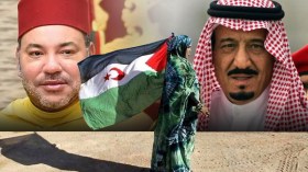 السعودية تدفع بمستثمريها إلى مناطق الصحراء الغربية المتنازع عليها؟