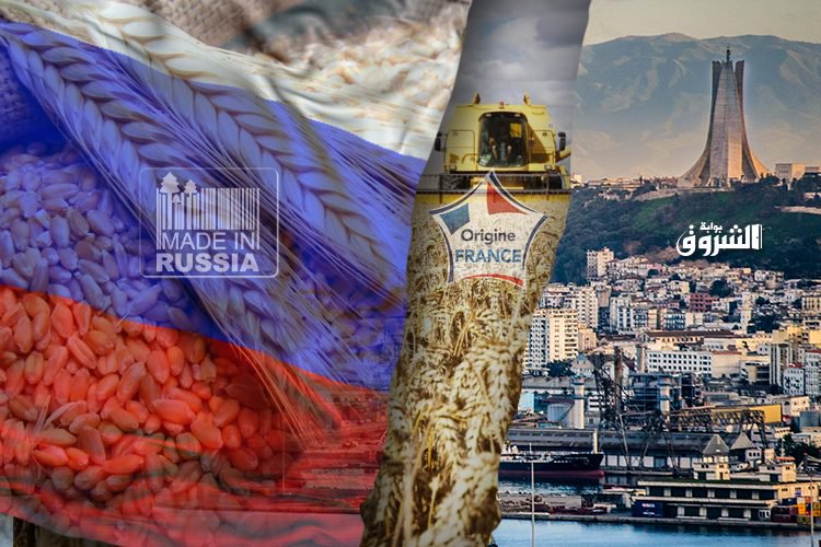 L’intérêt d’Algérie pour le blé russe provoque une panique en France