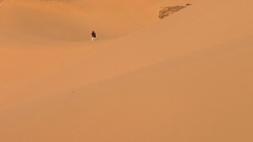 زحف الرمال يهدد مليونَيْ رأس غنم وآلاف الإبل