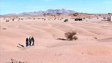 Armed forces arrest terrorists, foil a plan to transfer AQIM leaders to the Sahel region