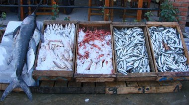 Les sardines plus chères que le poulet !