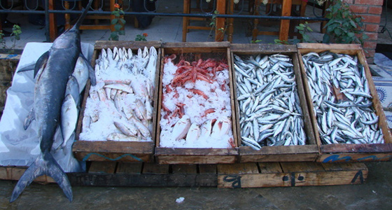 Les sardines plus chères que le poulet !