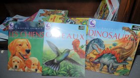 مجهولون‮ ‬يسوّقون كتب القطط والكلاب بأموال دعم الثقافة‮!‬