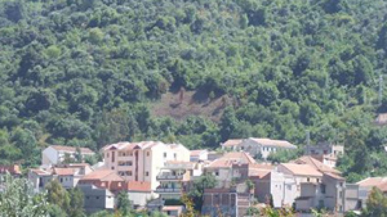 مافيا المخدرات تزرع الموت وتهدّد الأمن والممتلكات بالصوامع