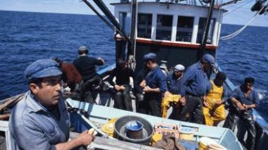 Production de poisson parcimonieuse: l’État loue des eaux de l’océan Atlantique