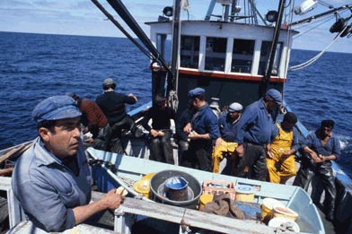 Production de poisson parcimonieuse: l’État loue des eaux de l’océan Atlantique