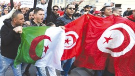 قمة مغاربية حاسمة بين “محاربي الصحراء” و”نسور” تونس