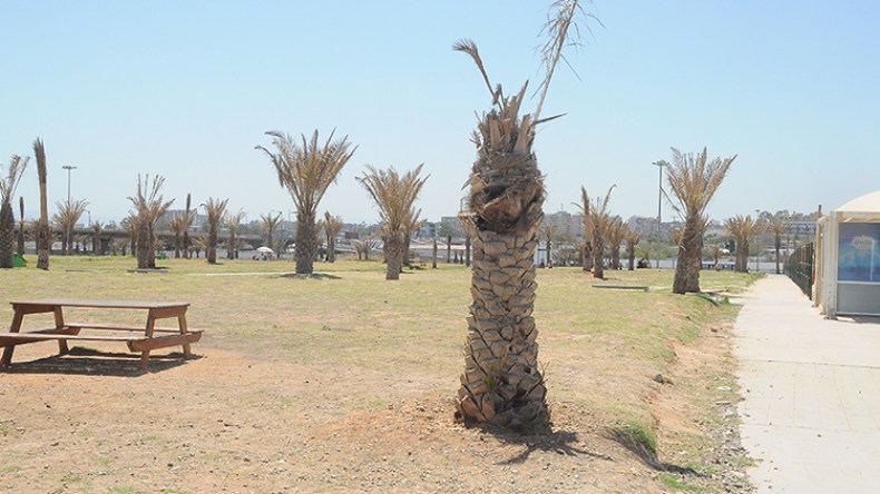 جمع 2 طن من النفايات يوميا بمنتزه الصابلات بالعاصمة