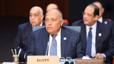 Le ministre égyptien des Affaires étrangères en visite en Algérie