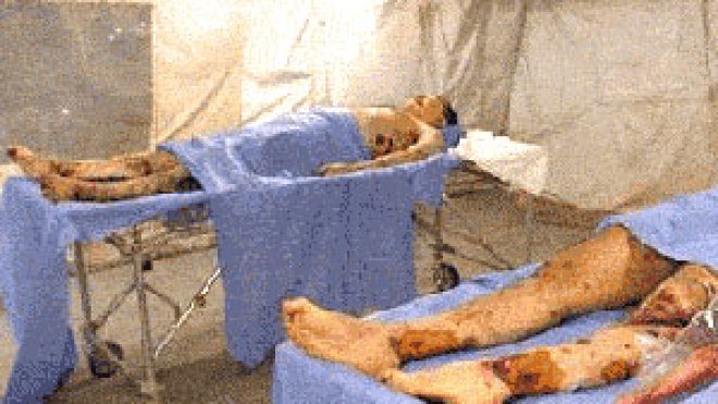 سبعون بالمائة من أصحاب الجثث المشرّحة وفاتهم طبيعية بمعسكر