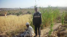 المخططات الاستعجالية لن تجدي نفعا إذا استمر شحّ الأمطار