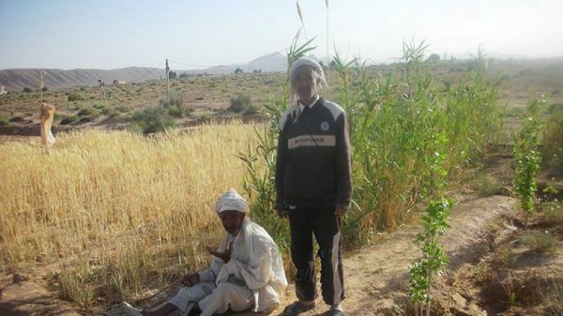 المخططات الاستعجالية لن تجدي نفعا إذا استمر شحّ الأمطار