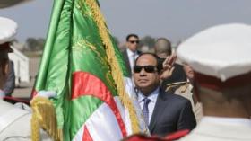 زيارة السيسي للجزائر انحراف للدبلوماسية الجزائرية