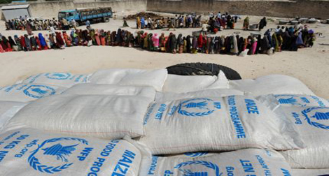 ONU : plus de 427 millions de dollars versés pour les secours humanitaires en 2011