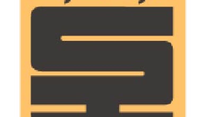 شبكة تنتحل صفة 16 هيئة رسمية بتزوير وثائقها وأختامها