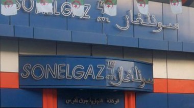 Perte de près de 30% d’électricité à Alger-Ouest en 2011