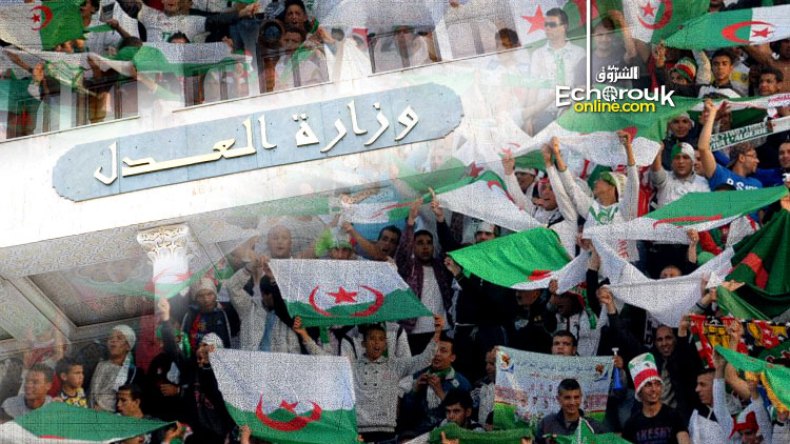 زوجي والسياسة خطَان متوازيان والفيديوهات تؤكد براءته