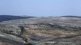 جبهة النصرة تقترح مبادلة سجينات في لبنان بعسكريين مخطوفين