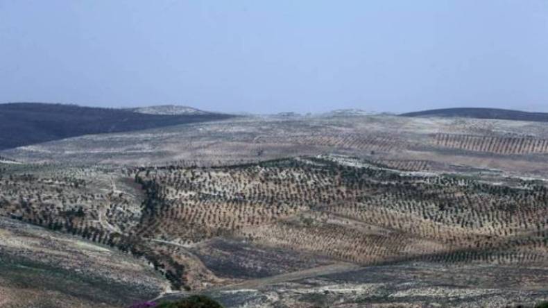 جبهة النصرة تقترح مبادلة سجينات في لبنان بعسكريين مخطوفين