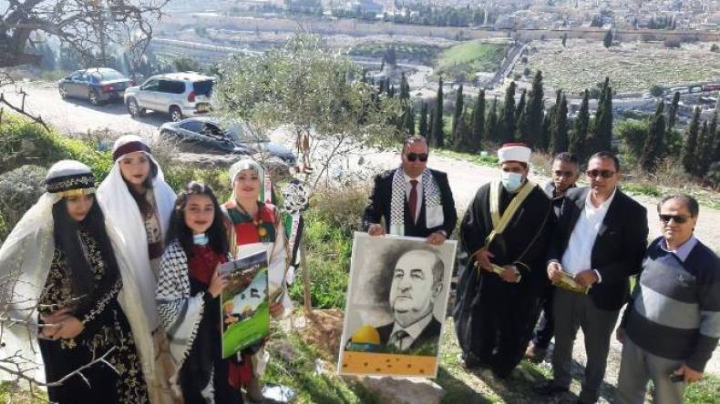 شجرة زيتون في القدس باسم الرئيس عبد المجيد تبون