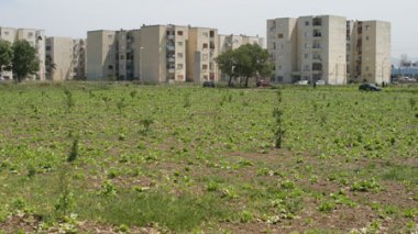 Location d’appartements et de villas : les services de sécurité enquêtent sur les dépassements