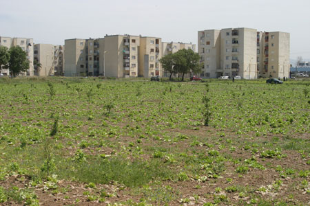 Location d’appartements et de villas : les services de sécurité enquêtent sur les dépassements