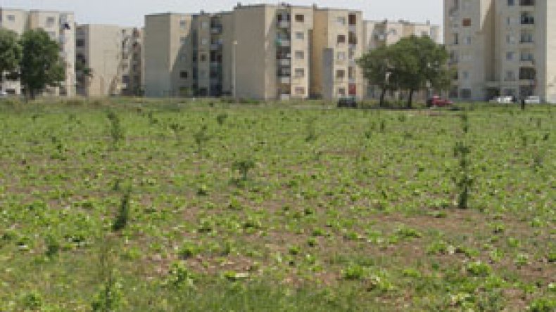 تحقيقات‭ ‬أمنية‭ ‬حول  ‬القطع‭ ‬الأرضية‭ ‬المستغلة‭ ‬دون‭ ‬عقود‭ ‬ملكية