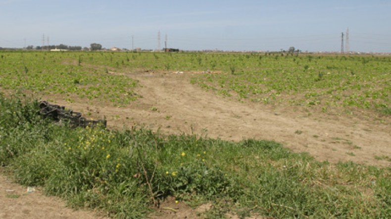 التماطل يرهن مصير 437 مستفيد من أراض للبناء