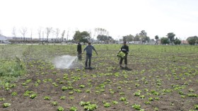 الشروع في حجز “ممتلكات” فلاحين لم يسدّدوا قروضهم