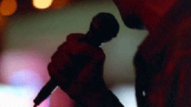 Book/'The Foreigner: A Novel' by Francie Lin