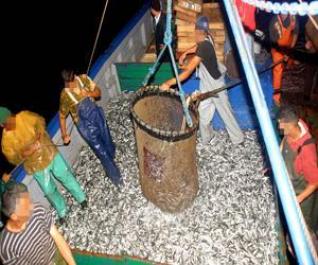 Blue Fin Tuna affair of Annaba: “The Appeals Court hands down its final verdict”